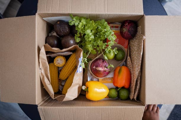 Food & Grocery Delivery